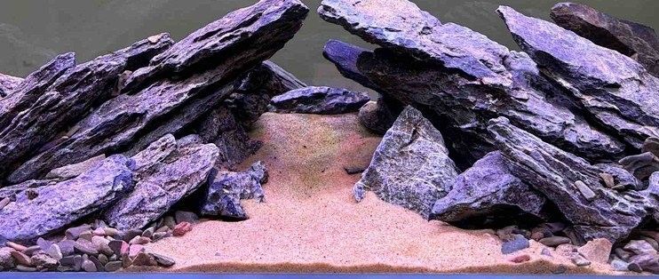 如何判斷一個(gè)魚缸品牌是否可靠（一個(gè)魚缸品牌是否可靠）