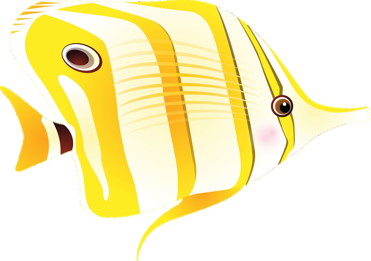 青島龍魚專賣店電話號碼多少（青島龍魚批發市場）（青島君悅酒店）