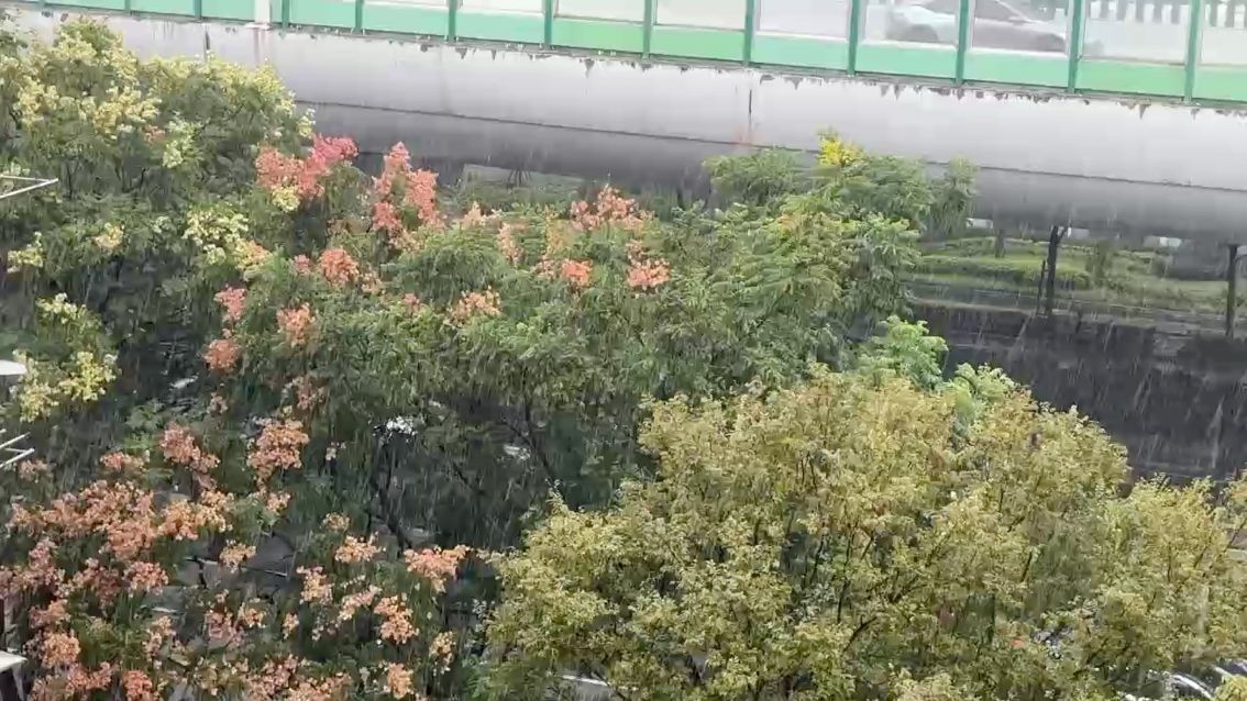 雨（雨的多面性及其對自然環境和社會生活的深遠影響）