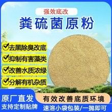祥龍魚場的水質維護產品有哪些（祥龍魚場提供的水質維護產品）