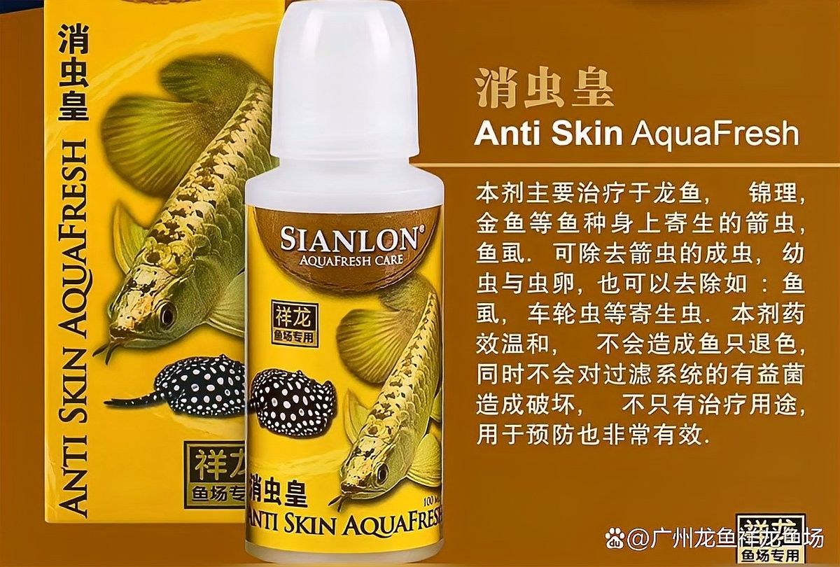 祥龍魚場的水質維護產品有哪些（祥龍魚場提供的水質維護產品）