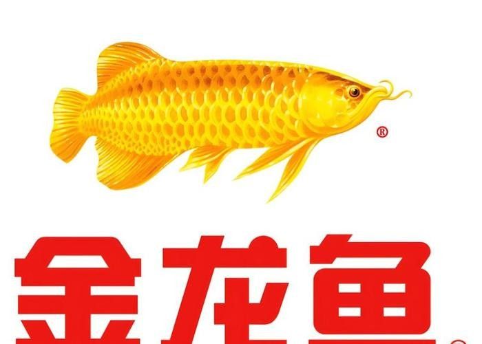 金龍魚商標(biāo)有哪些類別（丨食品行業(yè)商標(biāo)注冊(cè)類別全解析金龍魚商標(biāo)價(jià)值評(píng)估）