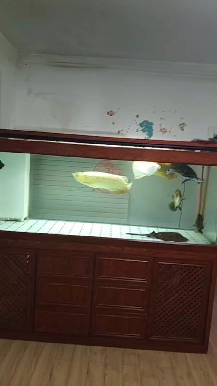 簽到（中秋國慶雙節快樂：簽到系統在現代企業管理中的應用及其重要性）