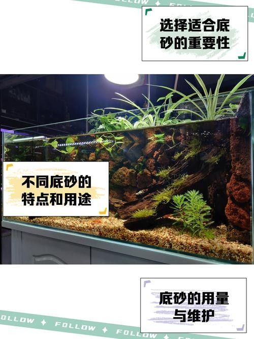 紅龍魚魚缸底沙如何選擇