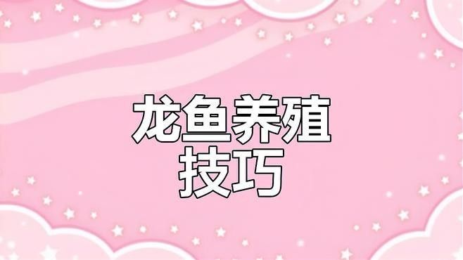 白金龍魚需要多大的魚缸？（白金龍魚的最佳飼養尺寸選擇）