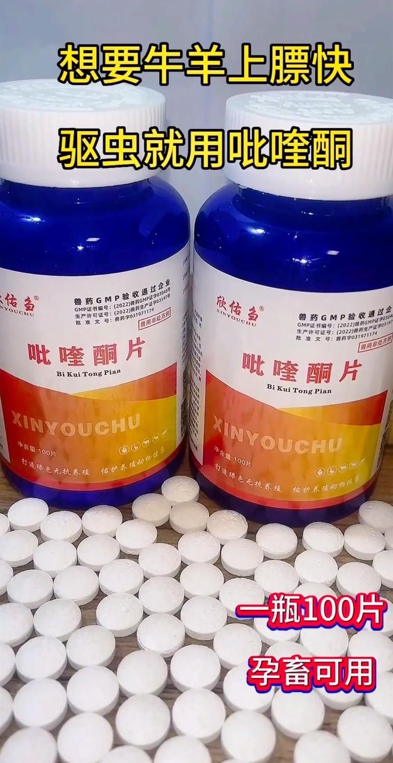 吡喹酮有哪些品牌推薦 龍魚百科 第1張 吡喹酮有哪些品牌推薦 吡喹酮有哪些品牌推薦 龍魚百科 第1張