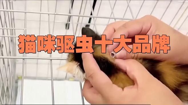 吡喹酮有哪些品牌推薦 吡喹酮有哪些品牌推薦 龍魚百科 第7張