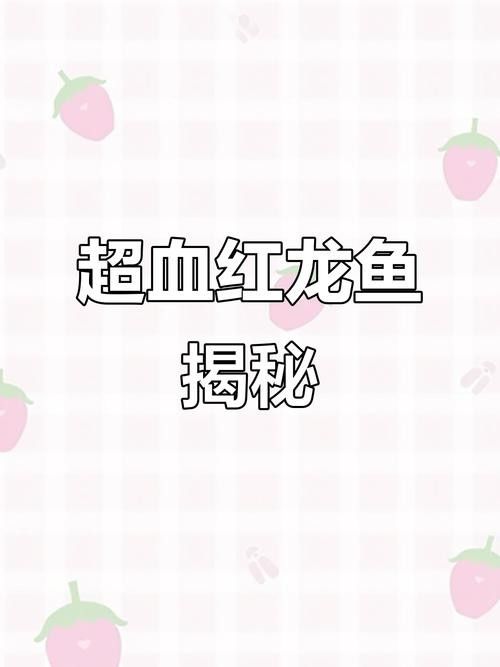 給我高清大圖的紅龍魚圖片