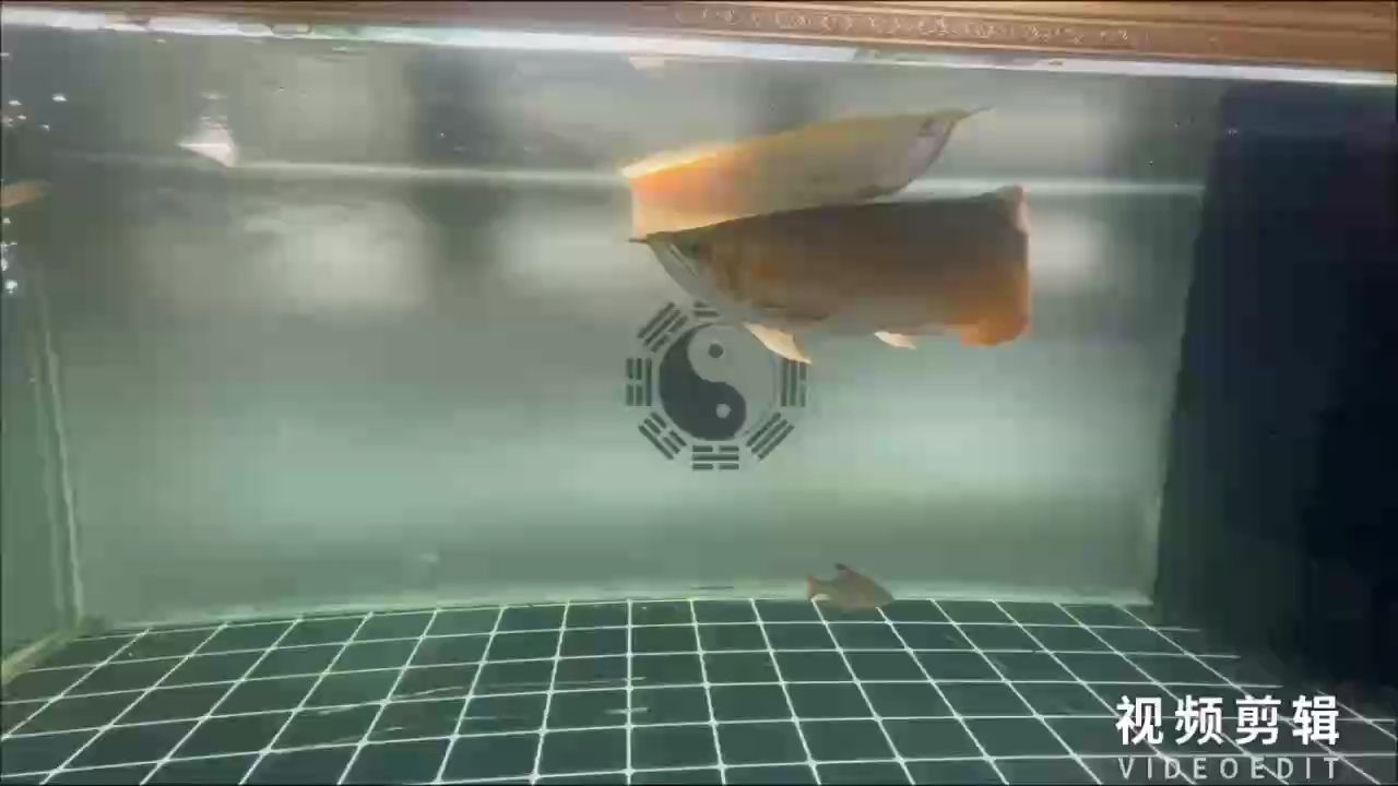 簽到（web簽到系統(tǒng)設計）