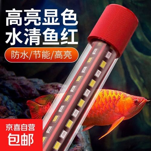 金龍魚缸燈應該選擇什么品牌