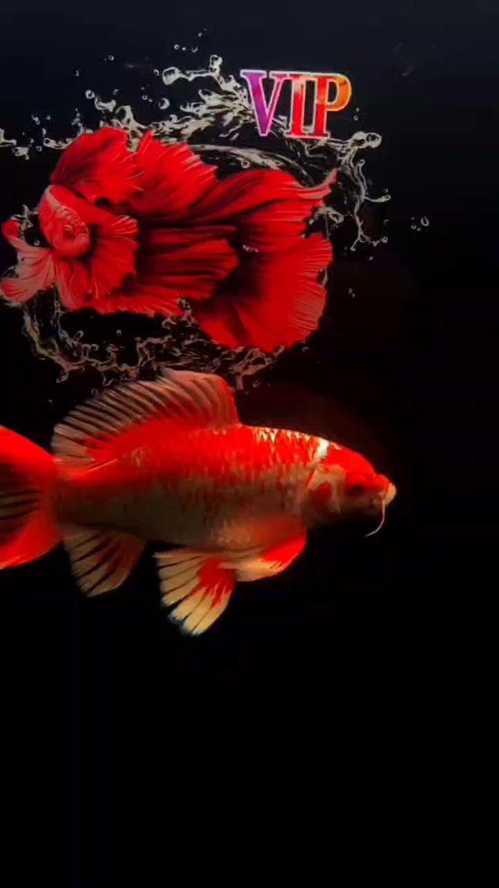 花紅（花紅的奧秘）
