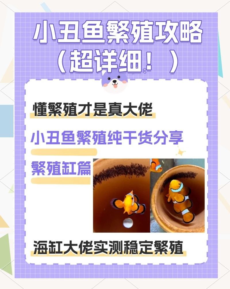哪些設備是繁殖缸必備的？（繁殖缸選擇多大尺寸好呢）