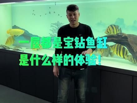 寶鉆龍魚缸的價格范圍是多少？（寶鉆魚缸價格因尺寸、材質和功能的不同而有所差異）