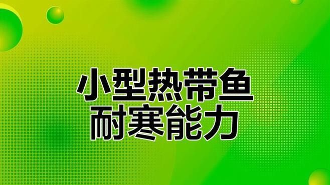 孔雀魚和曼龍魚哪個更耐寒（孔雀魚冬季無需加熱棒也能存活孔雀魚低溫極限揭秘指尖匠）