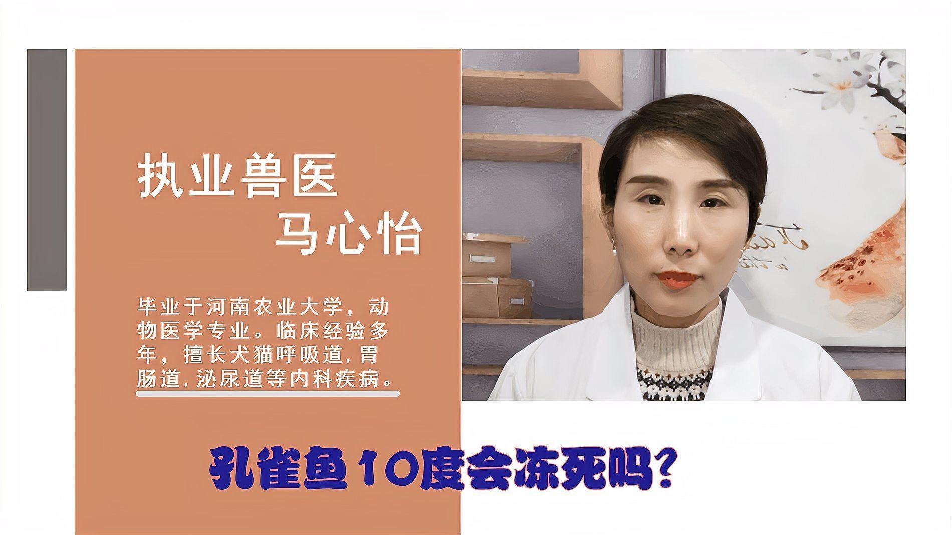 孔雀魚和曼龍魚哪個更耐寒（孔雀魚冬季無需加熱棒也能存活孔雀魚低溫極限揭秘指尖匠）