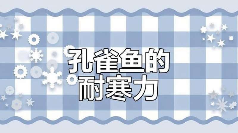 孔雀魚和曼龍魚哪個更耐寒（孔雀魚冬季無需加熱棒也能存活孔雀魚低溫極限揭秘指尖匠）