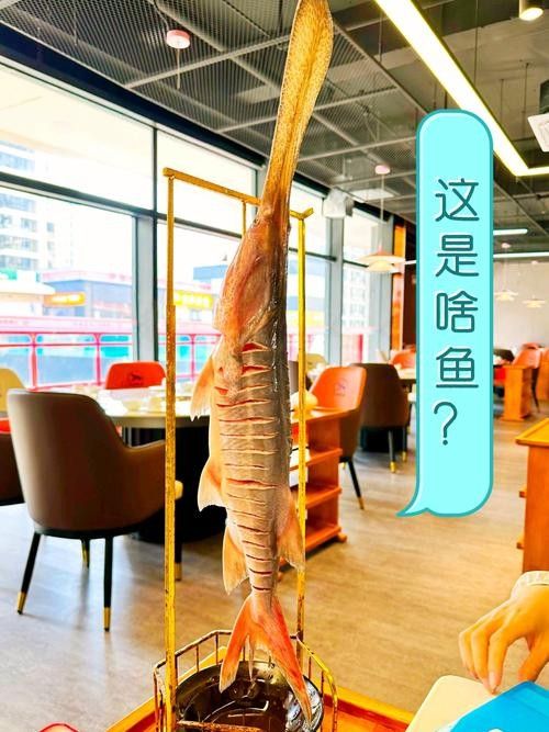 有沒有海南土龍魚生態攝影作品?(關于海南土龍魚生態攝影作品的簡要分析) 龍魚百科 第18張 有沒有海南土龍魚生態攝影作品?(關于海南土龍魚生態攝影作品的簡要分析) 有沒有海南土龍魚生態攝影作品?(關于海南土龍魚生態攝影作品的簡要分析) 龍魚百科 第18張