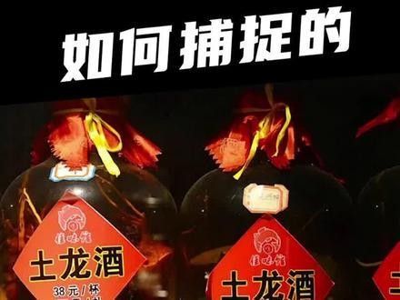 有沒有海南土龍魚生態攝影作品？（關于海南土龍魚生態攝影作品的簡要分析） 有沒有海南土龍魚生態攝影作品？（關于海南土龍魚生態攝影作品的簡要分析） 龍魚百科 第32張