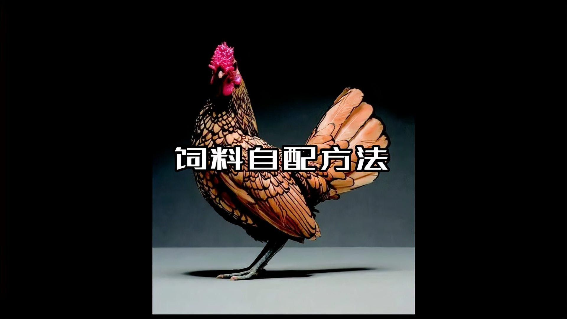 如何科學配制自制飼料？