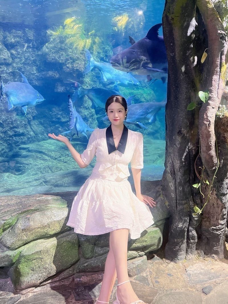 鄭州哪個水族館龍魚好？祥龍魚場龍魚（鄭州祥龍魚場:鄭州海洋館旅游攻略）