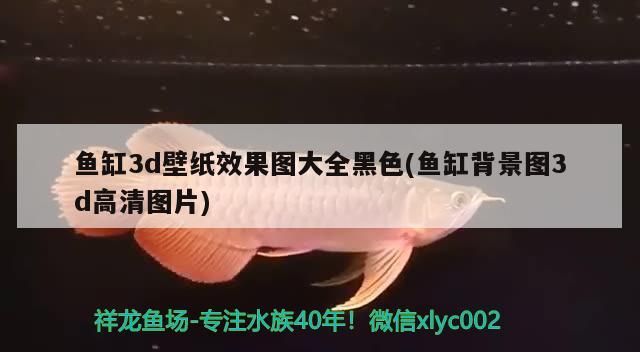 魚缸3d壁紙效果圖大全黑色(魚缸背景圖3d高清圖片)（魚缸3d壁紙效果圖大全黑色）