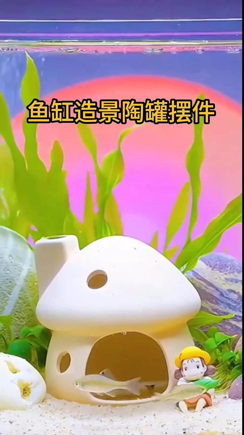 混養(yǎng)時如何避免爭斗？
