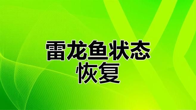 雷龍魚多久能適應(yīng)新環(huán)境（雷龍魚到家后的正確處理步驟世界不能沒有橘子小狗）