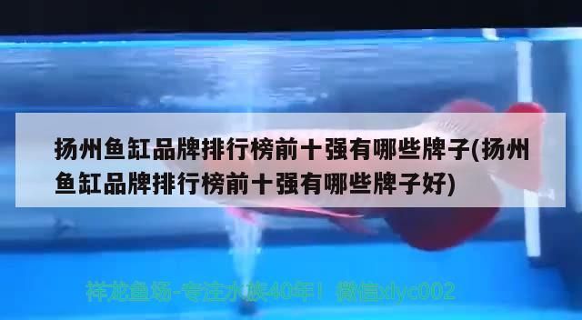 揚州魚缸品牌排行榜前十強有哪些牌子(揚州魚缸品牌排行榜前十強有哪些牌子好)（揚州魚缸品牌排行榜前十強） 揚州魚缸品牌排行榜前十強有哪些牌子(揚州魚缸品牌排行榜前十強有哪些牌子好)（揚州魚缸品牌排行榜前十強） 觀賞魚百科