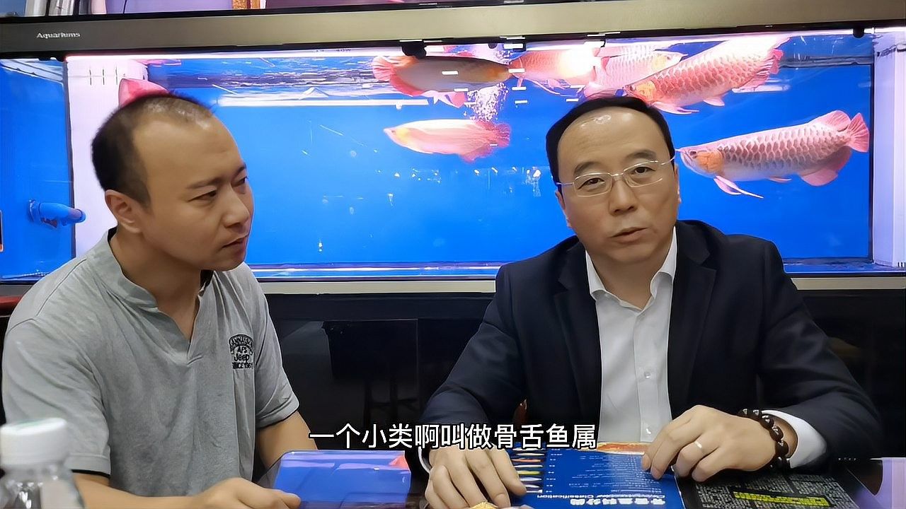 還有哪些龍魚品種比較稀有（龍魚品種最稀有的龍魚品種及其特征及其特征及其特征）