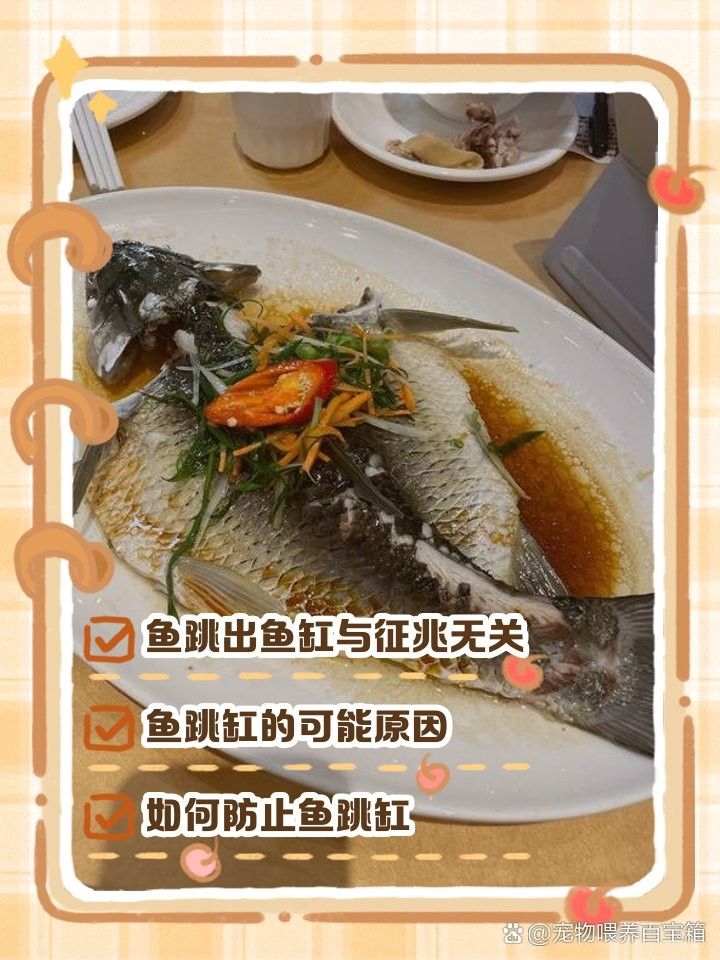 龍魚撞缸死亡有征兆嗎（龍魚撞缸死亡前兆）
