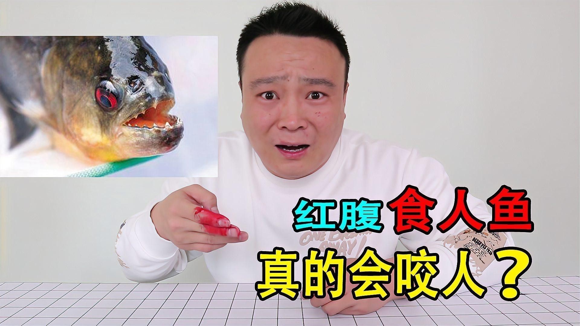 如何預(yù)防火龍魚咬人？（如何防止火龍魚咬人）