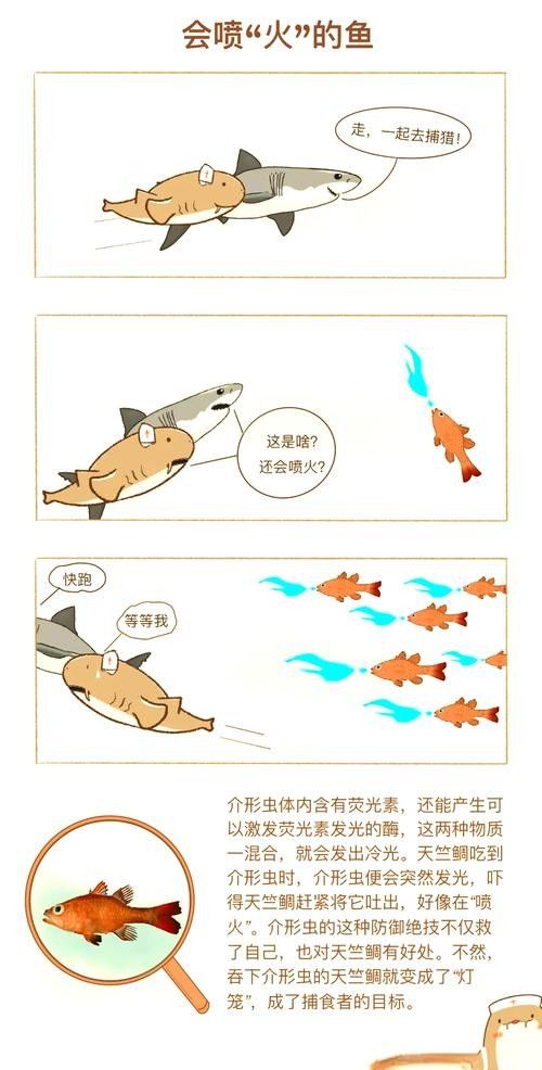 如何預(yù)防火龍魚咬人？（如何防止火龍魚咬人）
