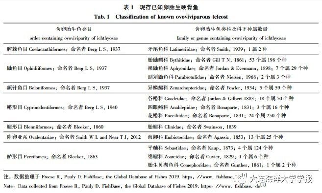 紅龍魚BTL的繁殖歷史如何（紅龍魚btl的繁殖歷史）