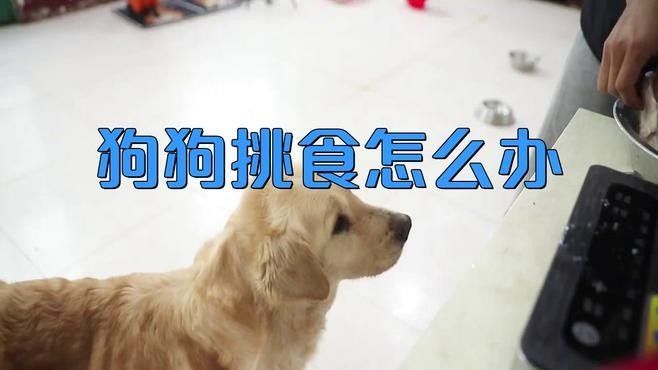寵物挑食多久能調整過來？ 寵物挑食多久能調整過來？ 龍魚百科 第2張
