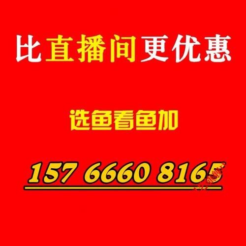 金龍魚線上購買有哪些平臺（金龍魚官方旗艦店有哪些優惠活動金龍魚官方旗艦店有哪些） 金龍魚線上購買有哪些平臺（金龍魚官方旗艦店有哪些優惠活動金龍魚官方旗艦店有哪些） 龍魚百科 第9張