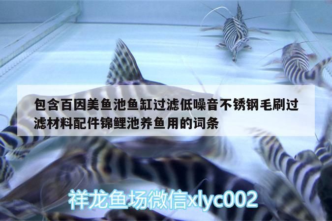 包含百因美魚池魚缸過濾低噪音不銹鋼毛刷過濾材料配件錦鯉池養魚用的詞條