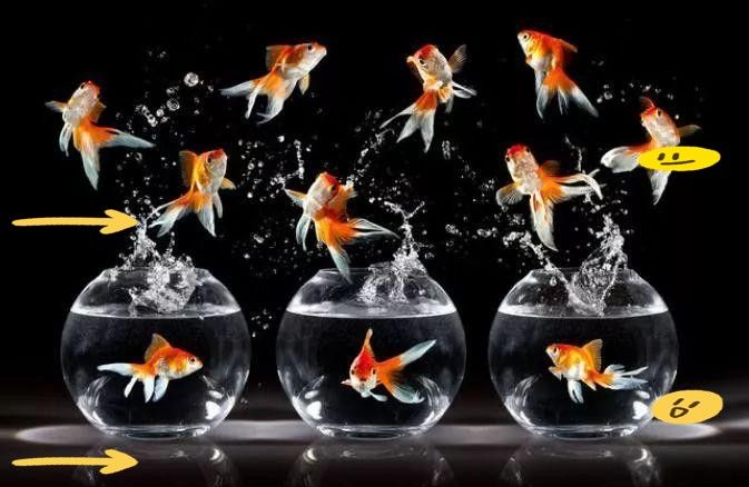 龍頭朝向動態調整有哪些注意事項（探討龍頭朝向動態調整時）