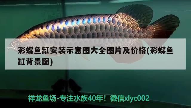 彩蝶魚缸安裝示意圖大全圖片及價格(彩蝶魚缸背景圖)（彩蝶魚缸安裝示意圖大全） 彩蝶魚缸安裝示意圖大全圖片及價格(彩蝶魚缸背景圖)（彩蝶魚缸安裝示意圖大全） 觀賞魚百科