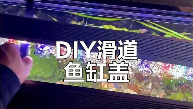 如何定制龍魚缸蓋？（周魚魚缸定制龍魚缸定制龍魚缸蓋的幾個關(guān)鍵步驟）