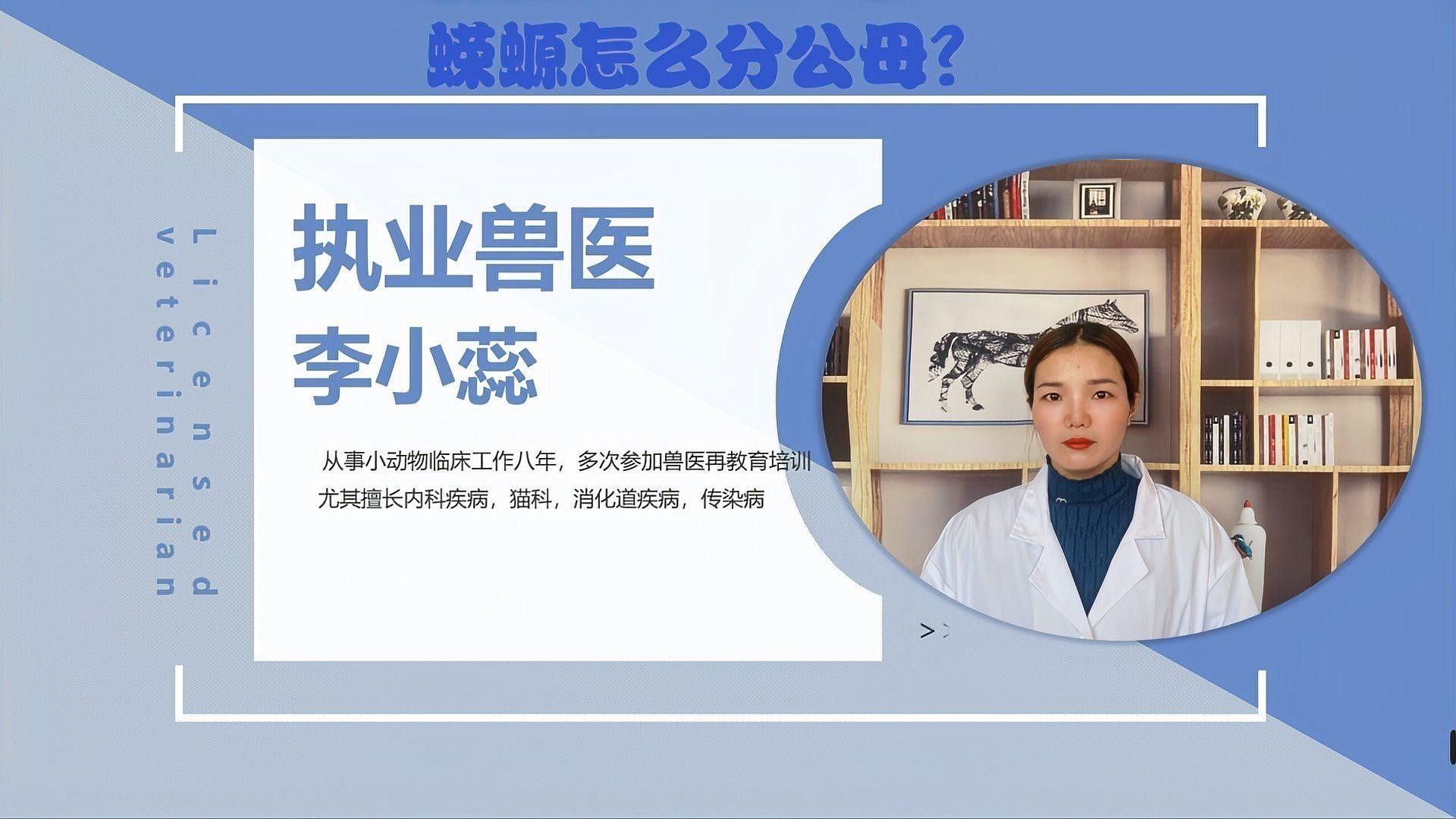 如何區分蠑螈的雌雄？（如何區分蠑螈的雌雄）