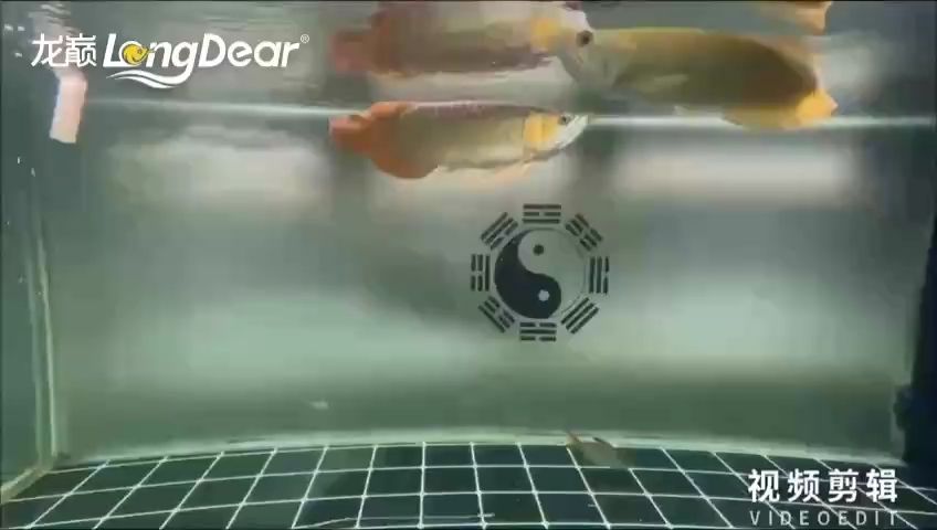 每天打卡（zizai評論：每天打卡的重要性與實踐方法，在快節奏的現代生活中）