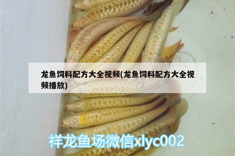 龍魚飼料配方大全視頻(龍魚飼料配方大全視頻播放)