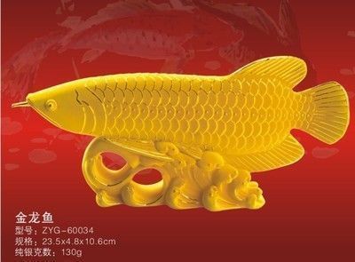 龍魚(yú)多少度要加溫水養(yǎng)，