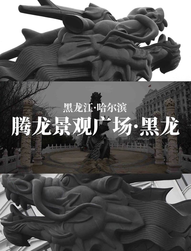 哈爾濱黑龍雕塑的寓意是什么？（哈爾濱東大直街“黑龍”雕塑背后的秘密）