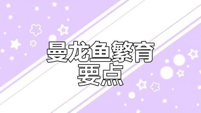 曼龍魚繁殖方法（曼龍魚的繁殖方法）