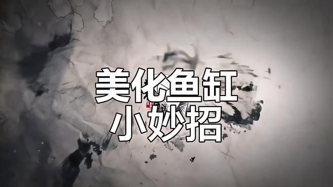 如何固定魚缸背景板