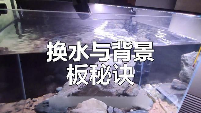 如何固定魚缸背景板