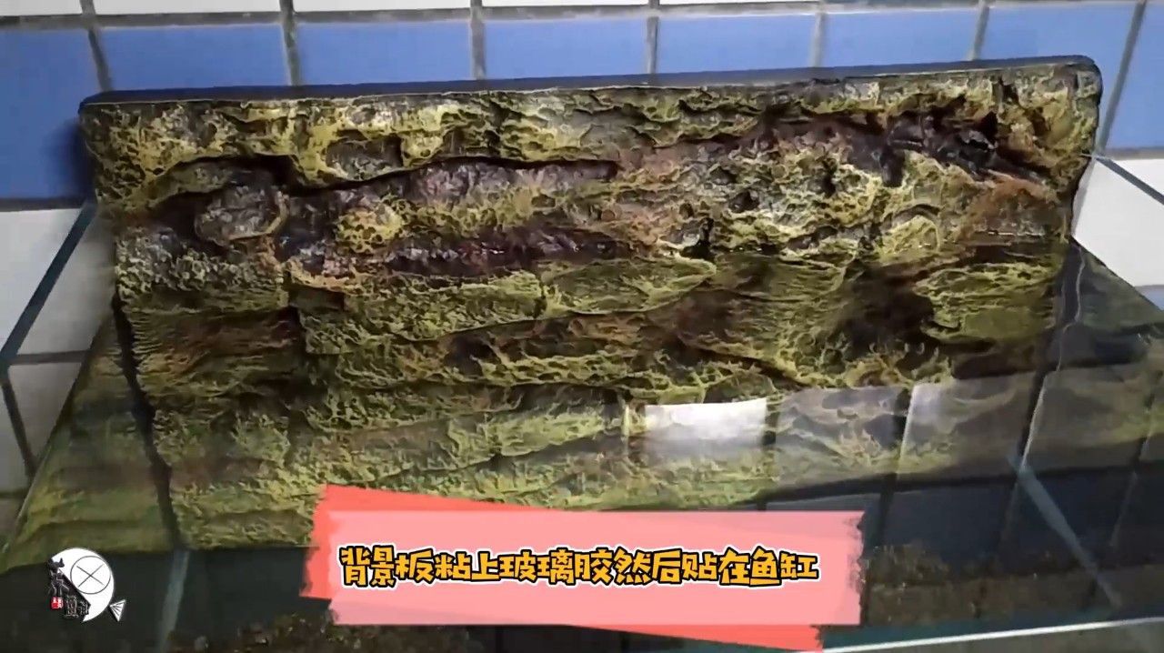 如何固定魚缸背景板