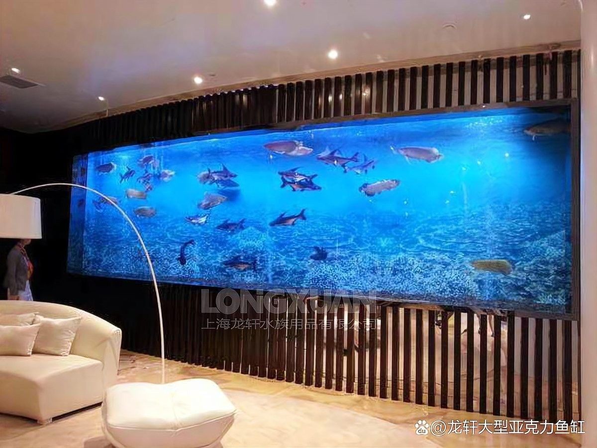 如何固定魚缸背景板