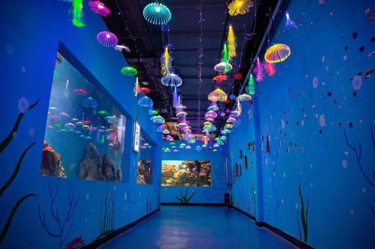 安陽哪個(gè)水族館龍魚好？祥龍魚場龍魚（安陽祥龍魚場的龍魚好養(yǎng)嗎）